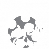 Ladybug Graphics LLC